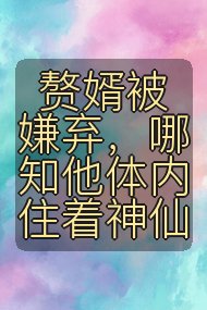 赘婿被嫌弃，哪知他体内住着神仙封面